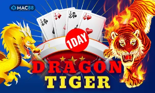 dragontigeroneday.webp